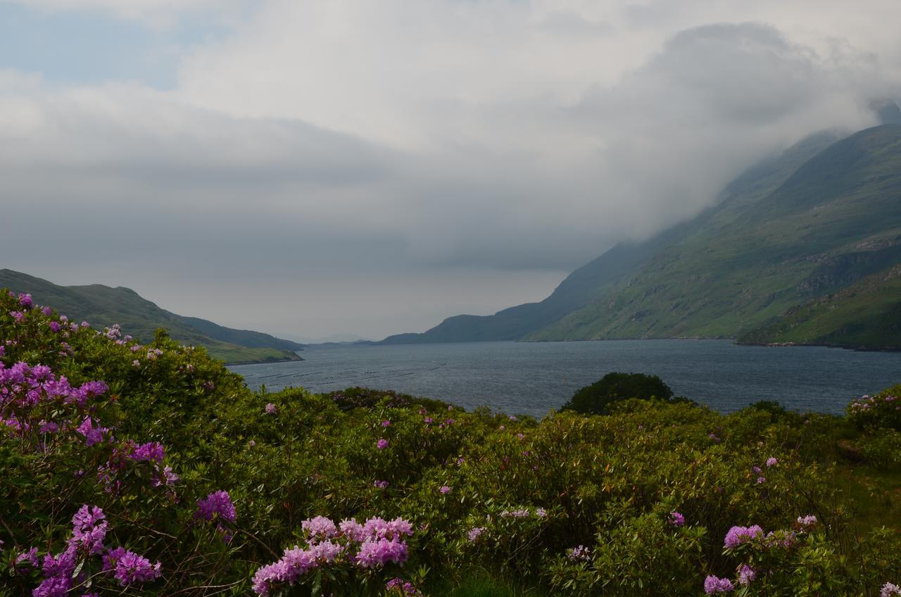 The Connemara Hostel - Sleepzone Лийнан Екстериор снимка